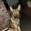 harrison - @harrison_glover - TikTok