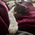 Harrison Glover - @hglover2005 - Instagram
