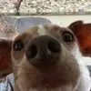 Harrison - @harrisongreen123 - TikTok