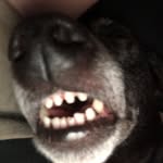 Harrison Green - @harrisongreen0306 - Instagram