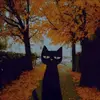 Harry - @harrison.green__ - TikTok