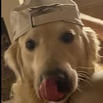 Harrison hamilton - @0_0harrison777 - Instagram