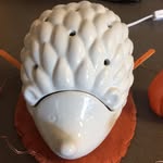 Harrison Hamilton Hedgehog III - @harrisonhamiltonhedgehog - Instagram