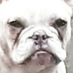 Harrison Harvey - @harrisonh057 - Instagram