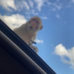 Harrison Harvey Bentley - @harrisonharveybentley - Instagram