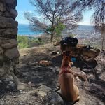 HarrisonHernández - @harrisonhernandez223 - Instagram