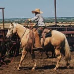 Harrison Holder - @harrison_holder - Instagram