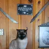 Harrison House Life - @harrisonhouselife - TikTok
