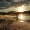 harry - @harrison.hull1 - TikTok
