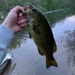 Harrison kern - @kern_fishing - Instagram