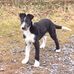 Harrison Knight - Facebook