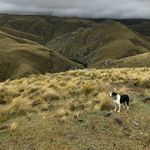 Harrison Lane - @harrisonlane8 - Instagram