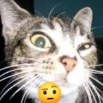 Harrison Mann - @h_mann69420 - Instagram