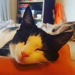 harrison mann - @its_harrison_harrison_priv - Instagram