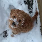 Harrison McCall - @harrisonmccall10 - Instagram