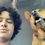 Harrison Meyers - @harryspamz3 - Instagram