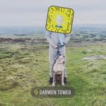 Harrison Moore - @harrisonmoore4555 - Instagram