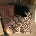 Harrison - @harrison.r.mullins - Instagram
