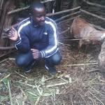 Harrison Mwangi - @harrison4147 - Instagram