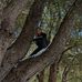 Harrison Newman - Facebook