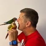Harrison Newman - @harrisonnewman55 - Instagram