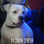harrisonowen - @harrisonowen5 - Instagram