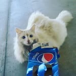 Harrison perkins - @harry_magic_101 - Instagram