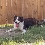 Cindi Harrison Phelps - @nanacindi - Instagram