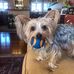 Harrison Phelps - Facebook