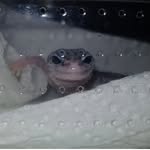 @pickett_harrison9 - Instagram