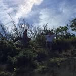 @harrison.piper.5 - Instagram