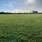 Harrison Powell - Facebook