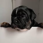 Harrison Robinson - @harrisonrobinson4 - Instagram