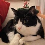 Harrison - @harrison.roth18 - Instagram