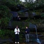 HAZ - @harrison_rothwell - Instagram