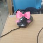 Harrison Sanchez - Facebook