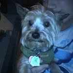 Harrison Sanders - @harrison_peanut - Instagram