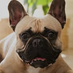 harrison sanders - @harrisonsanders7 - Instagram