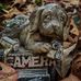 Harrison Saunders - Facebook
