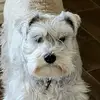 harrisonshipp668 - @heynowyourarockstar19 - TikTok