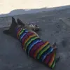 Harrison Silverman - @harrison.silverma - TikTok