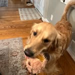 Harrison Tobin - @htobes23 - Instagram