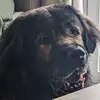 Harrison Whitehead - @harrison.whitehea5 - TikTok