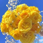 harrison williams - @harrison41436 - Instagram