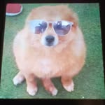 Harrison_williamson_backup - @harrison_williamsonbackup - Instagram