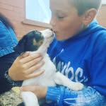 @harrisonwilliamson2009 - Instagram