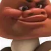 Harrison Willis - @datharryboi - TikTok