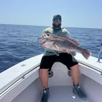 Harrison Willis O'Connor - @harryjohn630 - Instagram