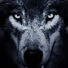 Harry Abrams - @harold.abrams7 - TikTok