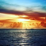 Harry Adamson - @werkwerk58910 - Instagram